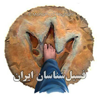 کانال فسیل شناسان ایران