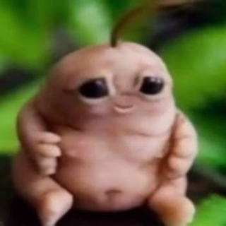 @itoshi_67