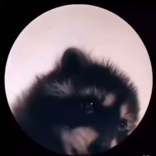 @iTzSilver_YT
