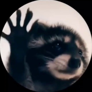 @itzzpanda