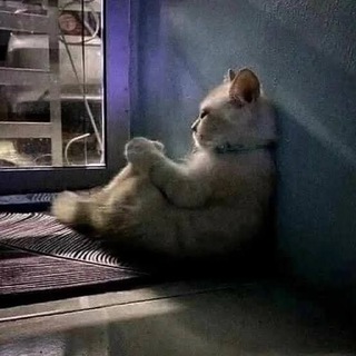 مْجِهْوَلْ (𝗖𝗥)آلـޢـقـޢــآئډ ༆ اْلْهَوْيِةْ