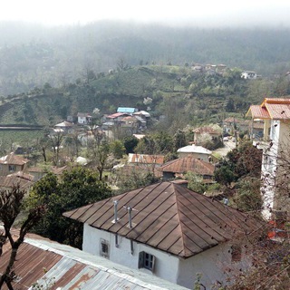 جنگسرا...زیبای آرام