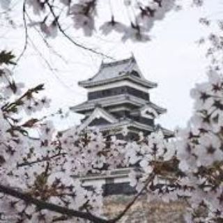 Japanese