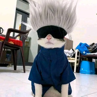 @japanimliste