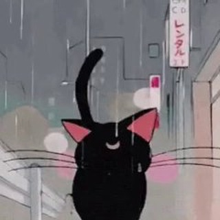 @jassica