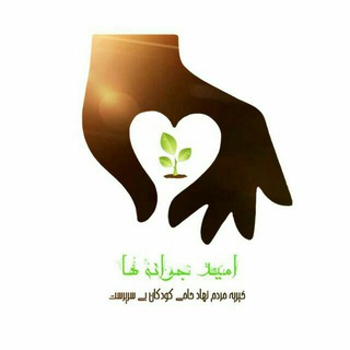 خیریه امید جوانه ها