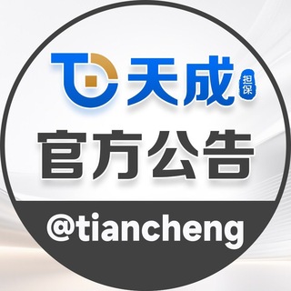 玖鼎天成担保官方