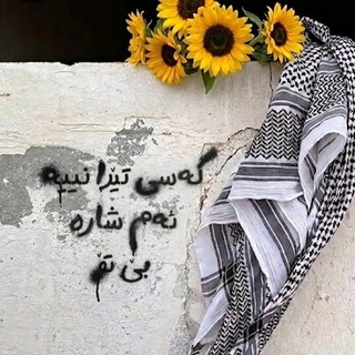 @Jehon1369