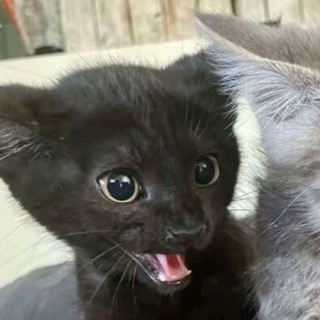 @Jifg09