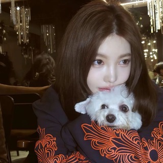 @jingwenn_15