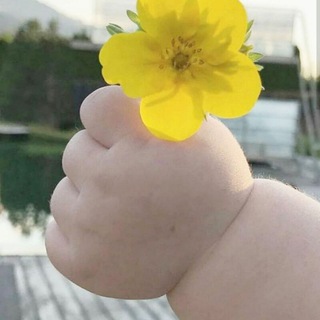 ژینی نوێ