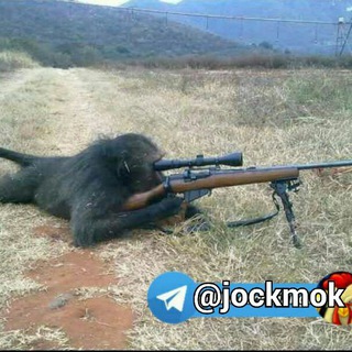 😂 کانال جوک موک 😂