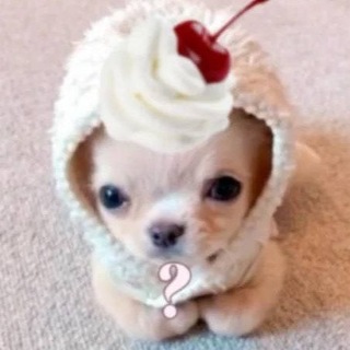 @joppaivsmilyiyblydok967