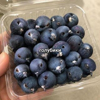 @k1vi_v1vi
