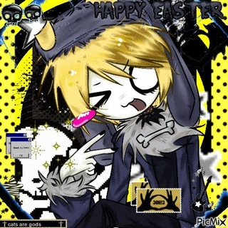 @k1wi4ka