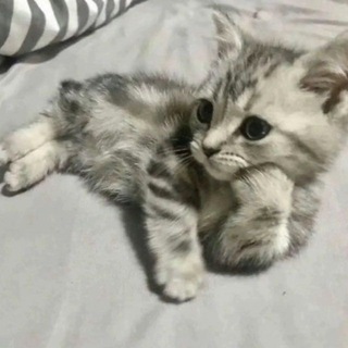 @k3c_j