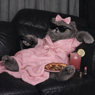 @k_h_7bot