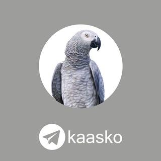 Kasko