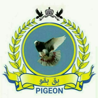 @kabotarparani