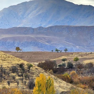 کانال رسمی کفشگران❤️
