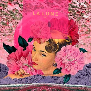 Telegram contact with @kakaya_luna @kakaya_luna