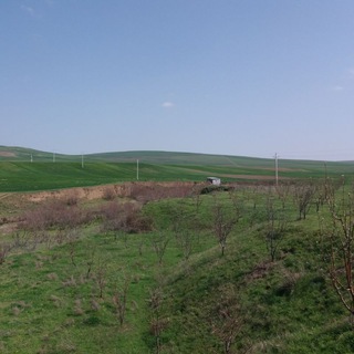 کانال خبری طایفه کلاسر