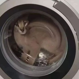 @Kar1XD