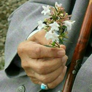 كشكول فرزانگان