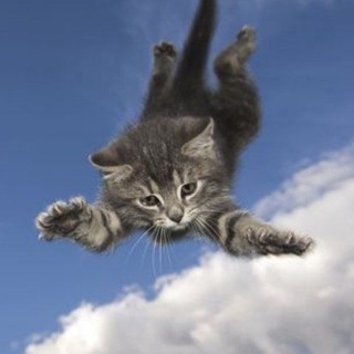 @kassik_l