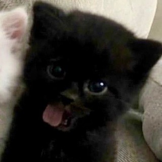 @kastrulllkaa