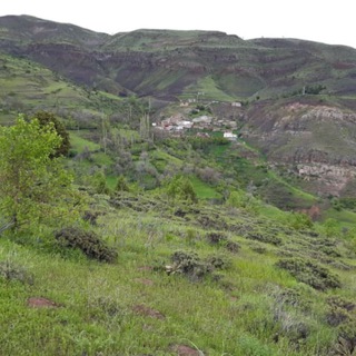 خبرنامه کاوان