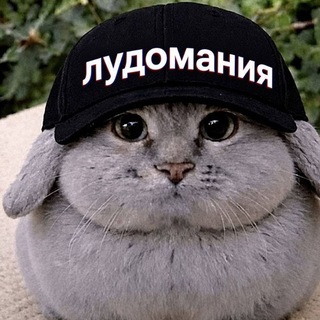 @kaysinat