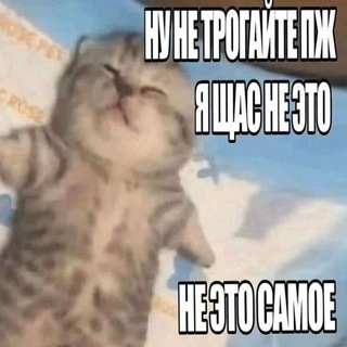 @KaZik79