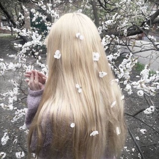 @kazz_ka2