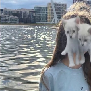 @Kceenkaa