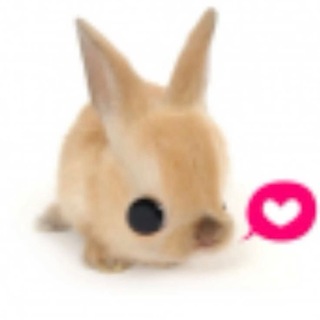 @kdhrkzh29