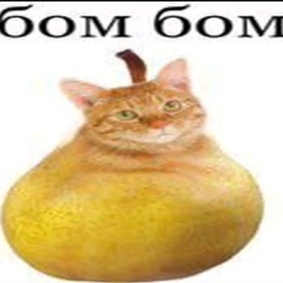 @kefir_chesnok