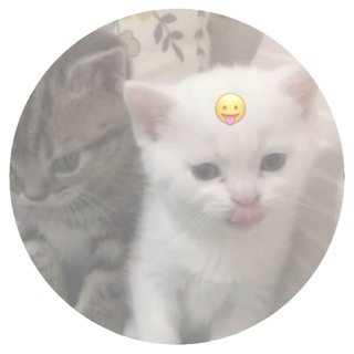 @keiil0