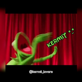 @kermit_lovers