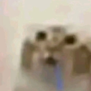 @kezzsl