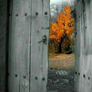 @Khastarinn_bot
