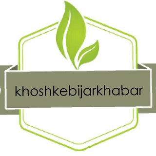 خشکبیجار📑خبر