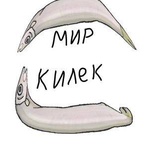@killkap