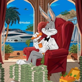 @King_Rashed