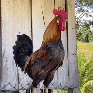 @Kirill_si0208