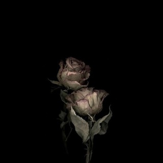 @Kirkooroovvv7