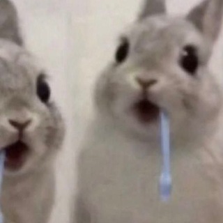 @kiro1234885