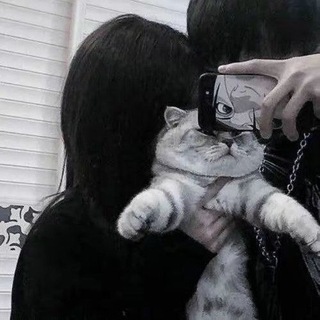 @kitfiks