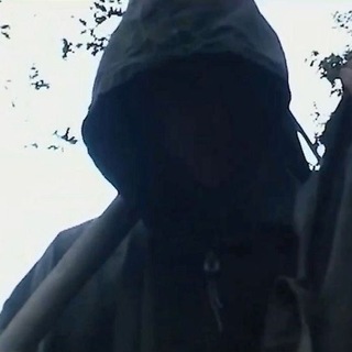 @kittluvmm0LMJK
