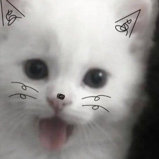 @Kizis_sk